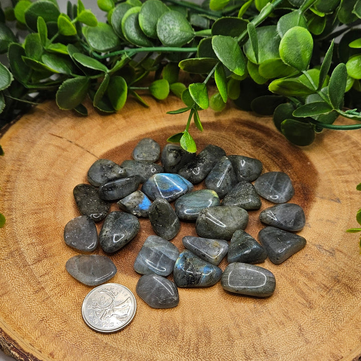 Labradorite Tumbled