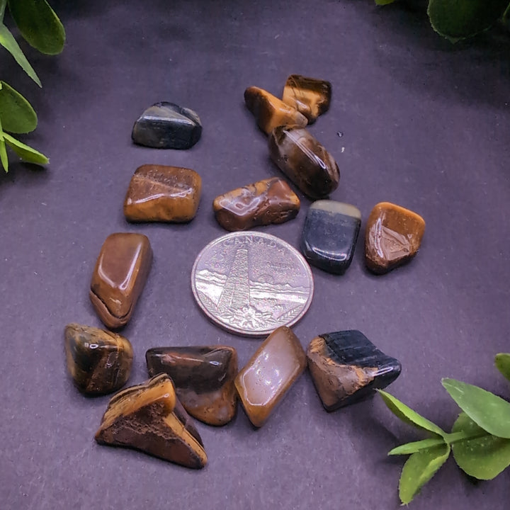 Tiger Eye Tumbled Healing Stones