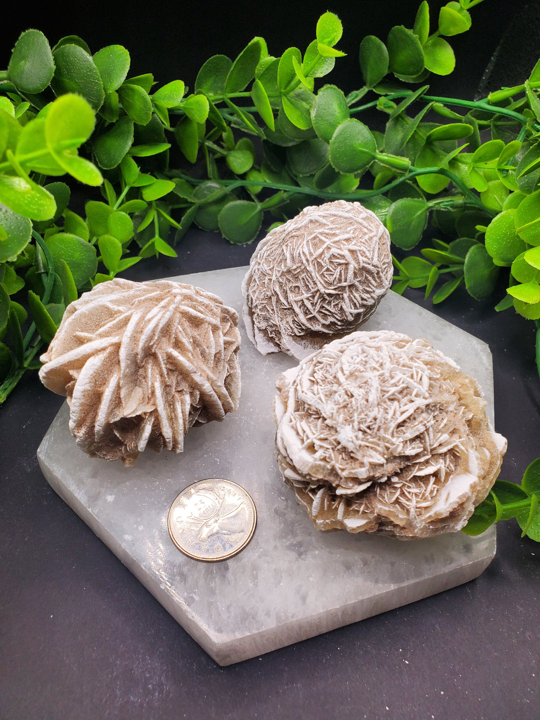 Desert Rose Selenite Crystal Healing Stones