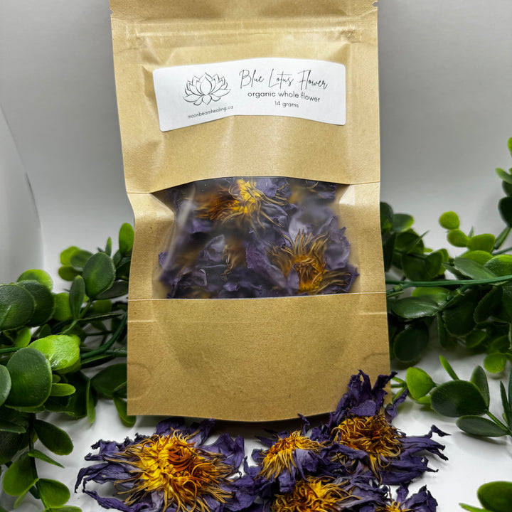 Blue Lotus Whole Flowers (Organic)