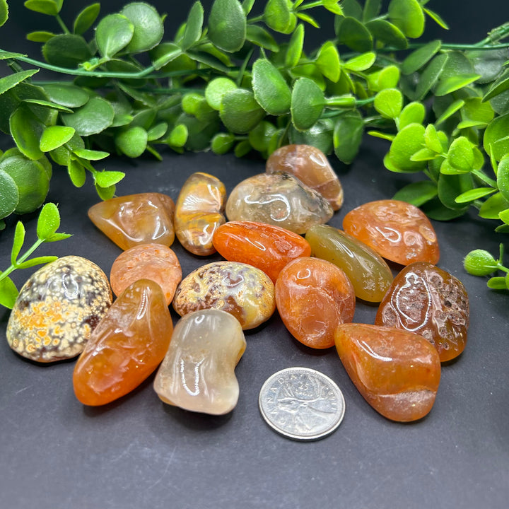 Carnelian Tumbled (M-L)