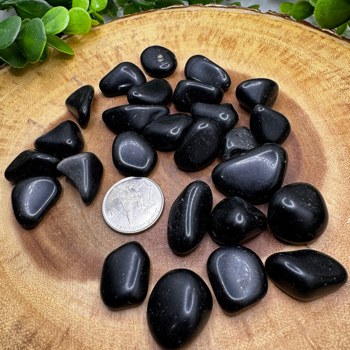 Black Obsidian Tumbled Healing Stones