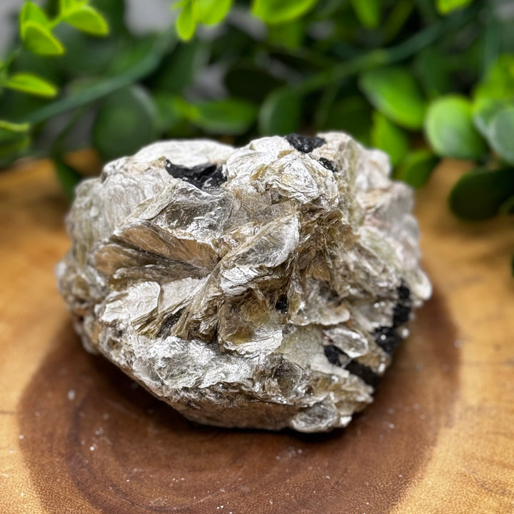 Gold Star Mica Cluster #4