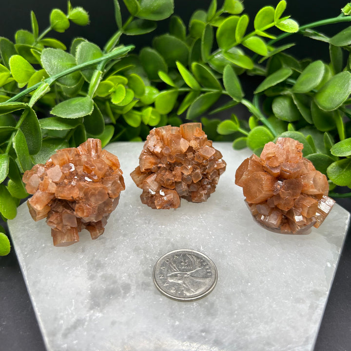Aragonite Clusters (M)