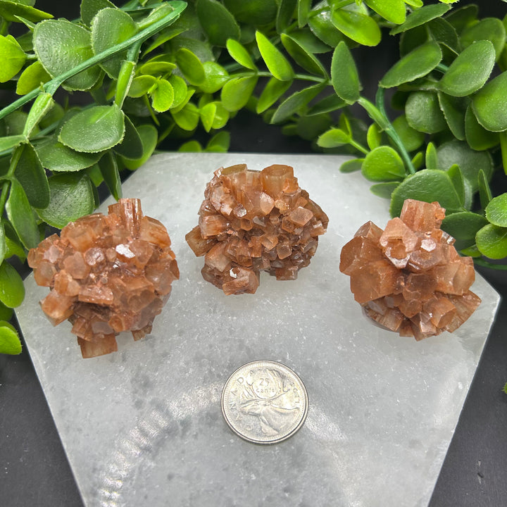 Aragonite Clusters (M)