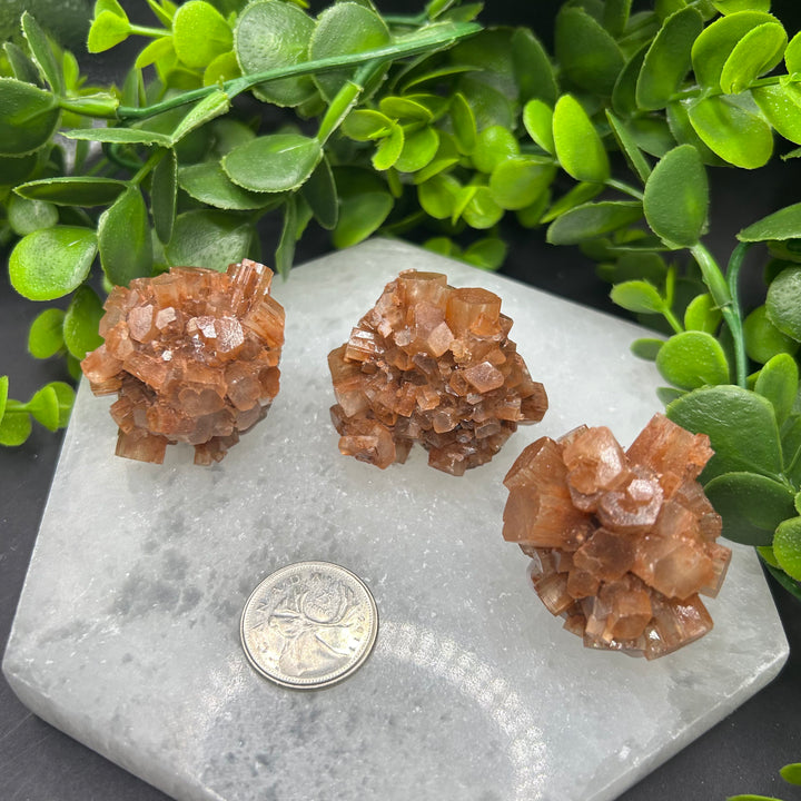 Aragonite Clusters (M)