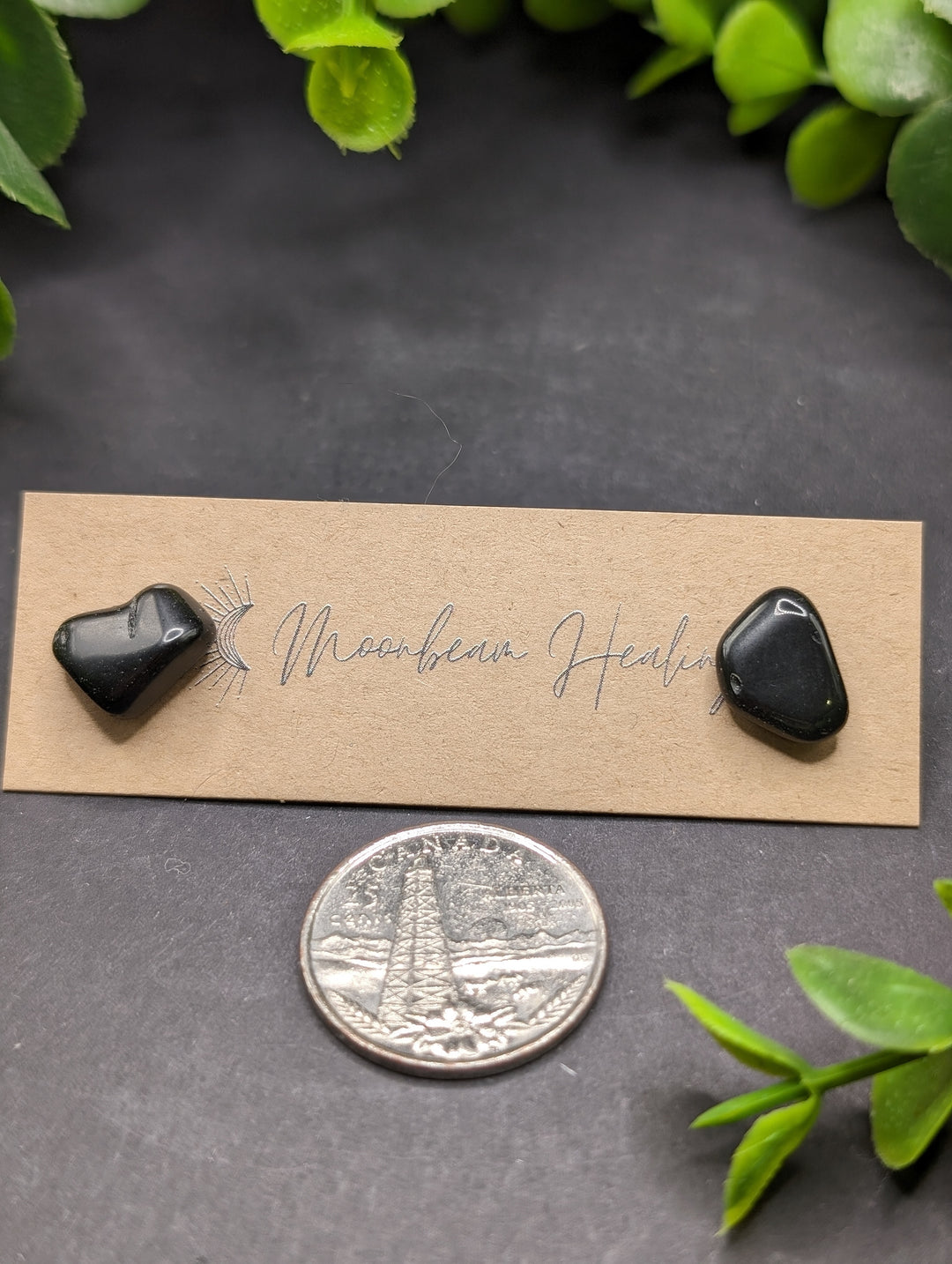 Black Obsidian Polished Earrings