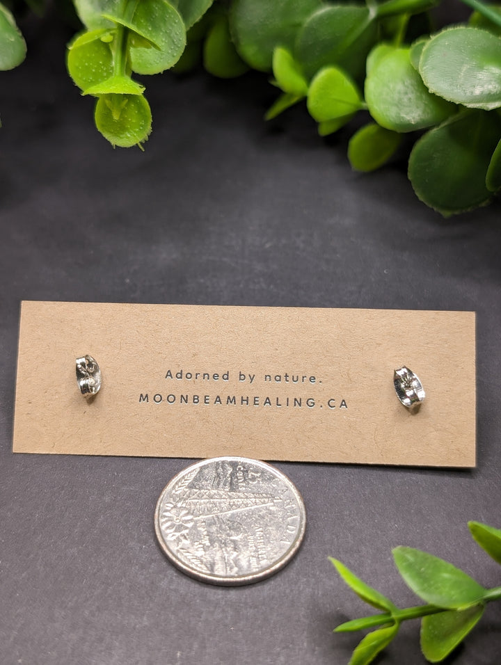 Agate Polished Earrings