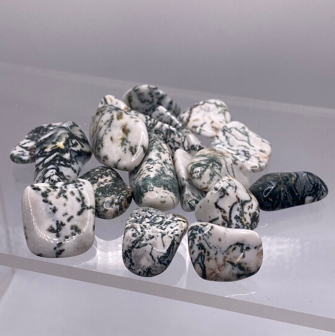 Tree Agate Tumbled Stone (M)