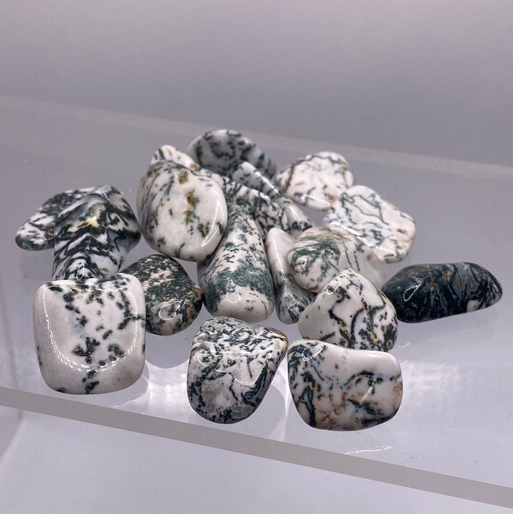 Tree Agate Tumbled Stone (M)