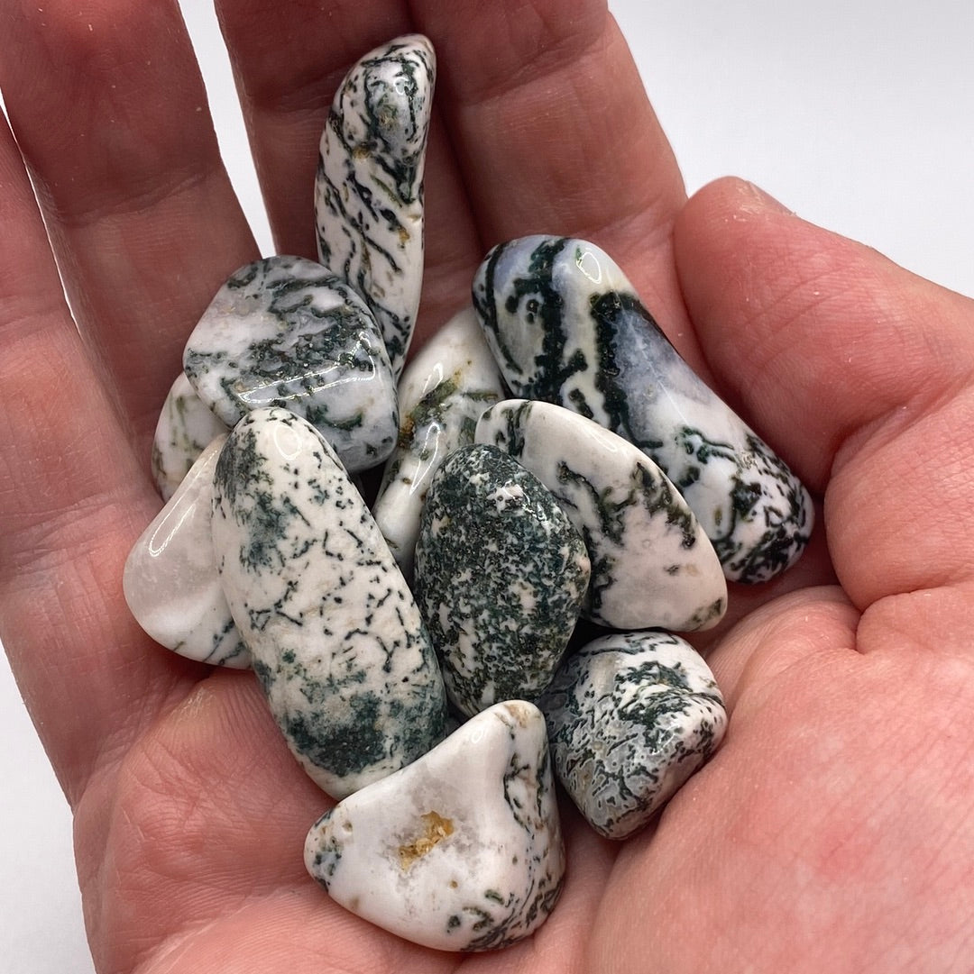 Tree Agate Tumbled Stone (M)
