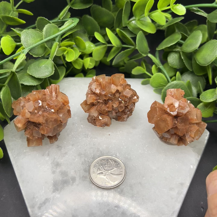 Aragonite Clusters (M)