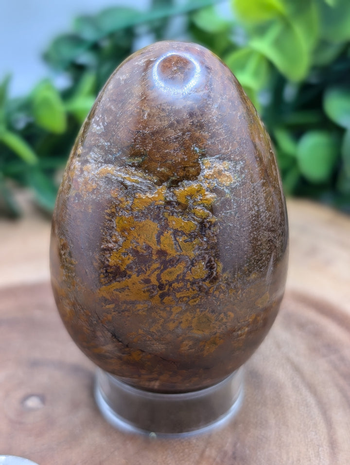 Ajooba Jasper Egg