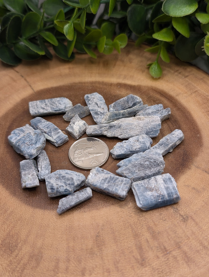 Turquoise Kyanite Rough Cut