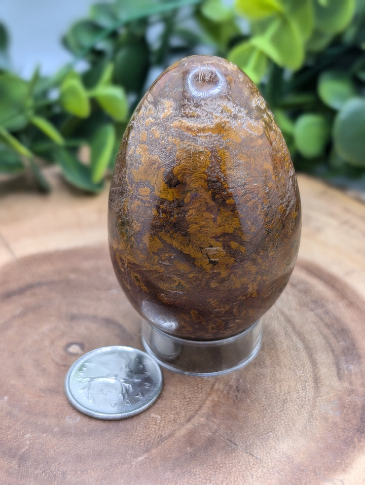 Ajooba Jasper Egg