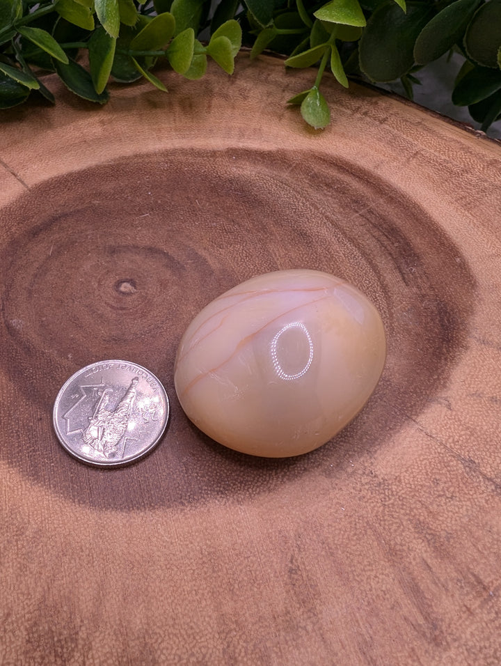 Agate Polished Palmstone (s)