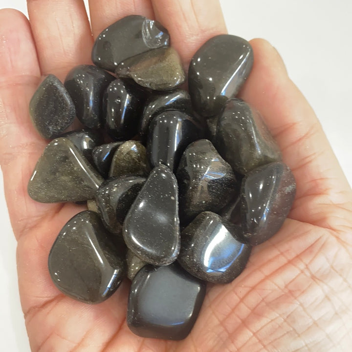 Gold Sheen Obsidian Tumbled
