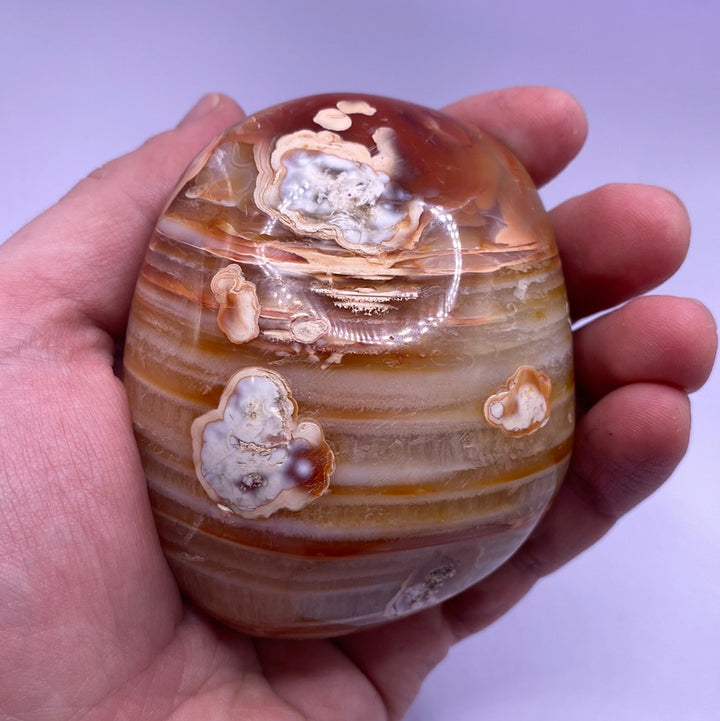 Carnelian Free Forms