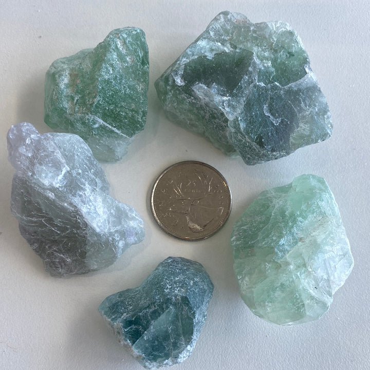 Fluorite Rough Cut (L)