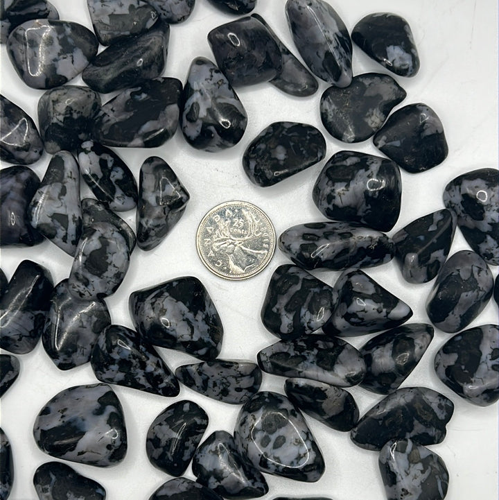 Indigo Gabbro/Mystic Merlinite Tumbled Stone (S)