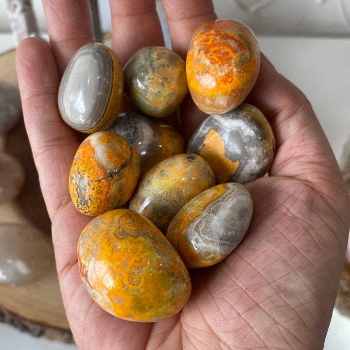 Bumble Bee Jasper High Quality Tumbled (L)