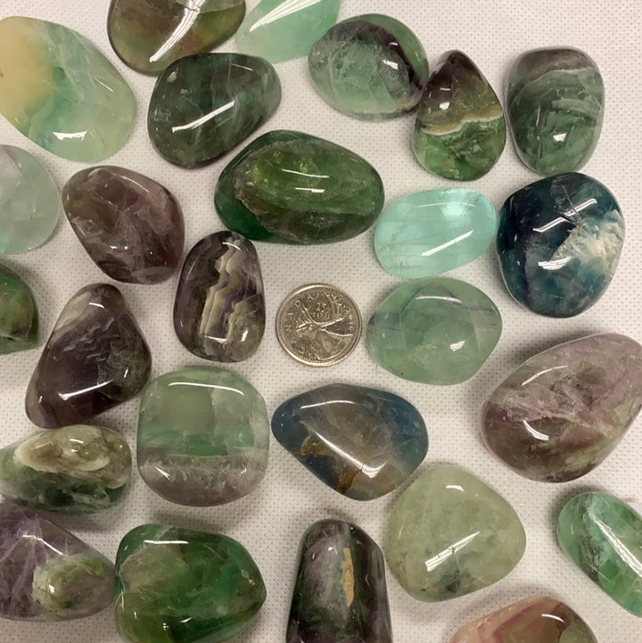 Fluorite Tumbled Stone (XL)
