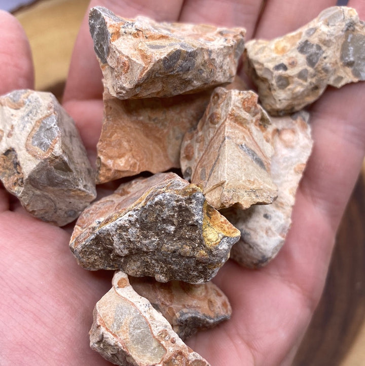 Leopardite Rough Cut