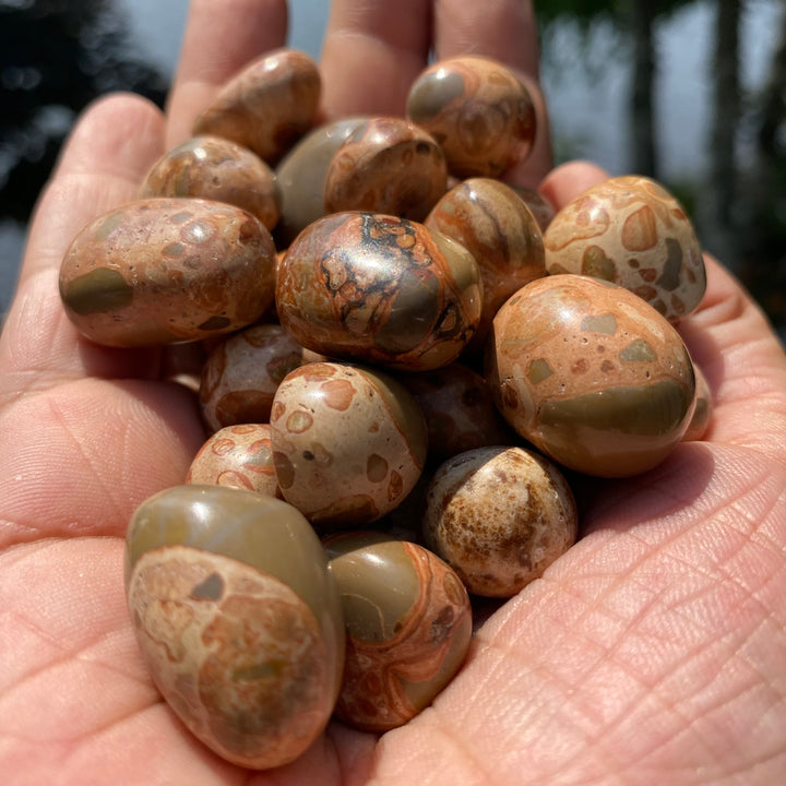 Leopard Skin Tumbled (S-M)