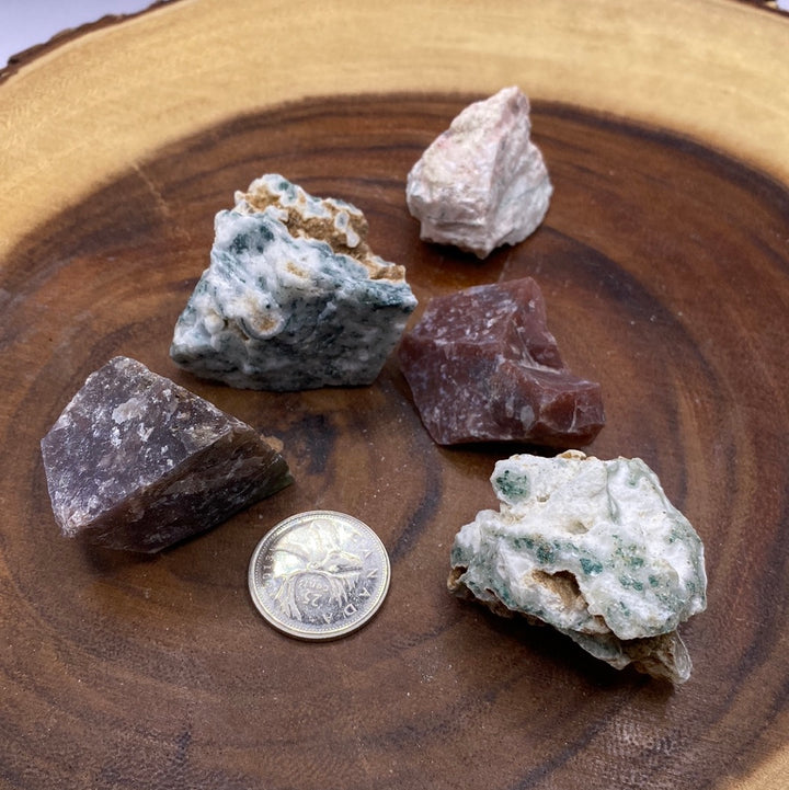 Tree Agate Rough Cut