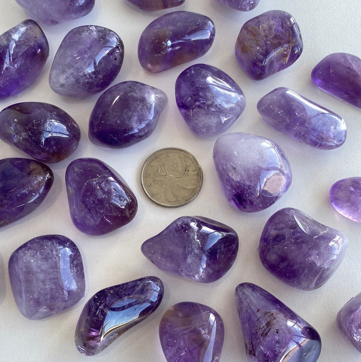 Amethyst Tumbled (M-L)