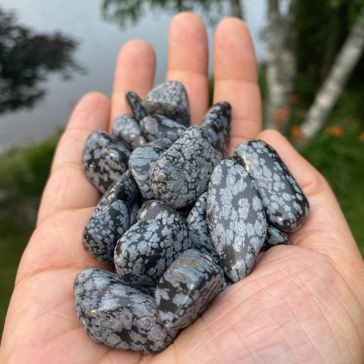 Snowflake Obsidian Tumbled Stones