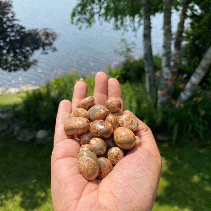 Leopard Skin Tumbled (S-M)