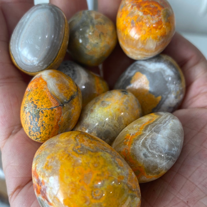 Bumble Bee Jasper High Quality Tumbled (L)
