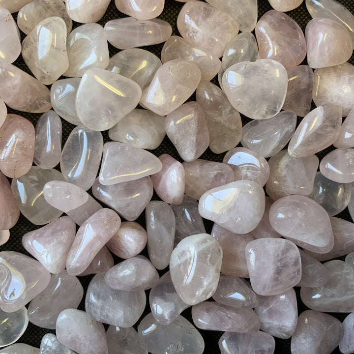 Rose Quartz Tumbled Healing Stones