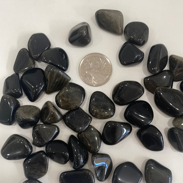 Gold Sheen Obsidian Tumbled
