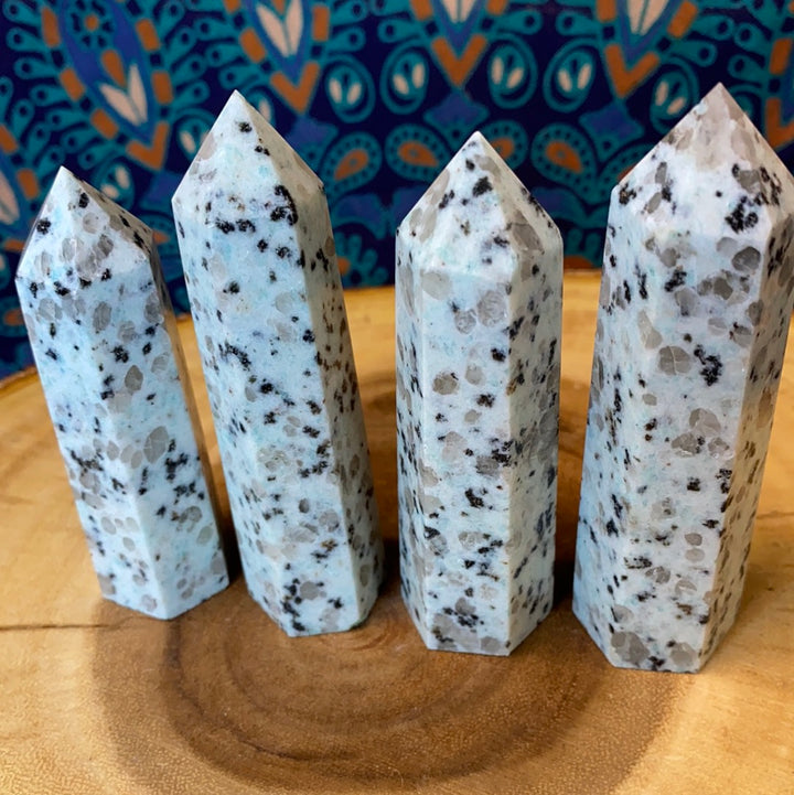 Kiwi Jasper Polished Points