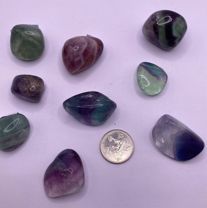 Fluorite Tumbled (M)