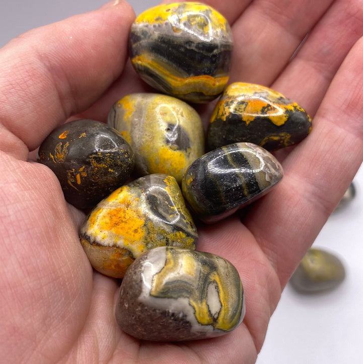 Bumble Bee Jasper High Quality Tumbled (L)