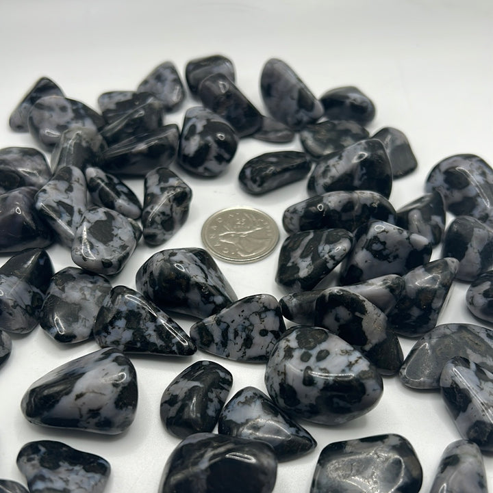 Indigo Gabbro/Mystic Merlinite Tumbled Stone (S)