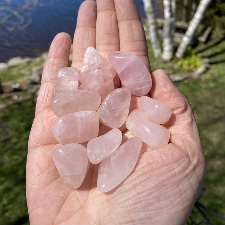 Rose Quartz Tumbled Healing Stones