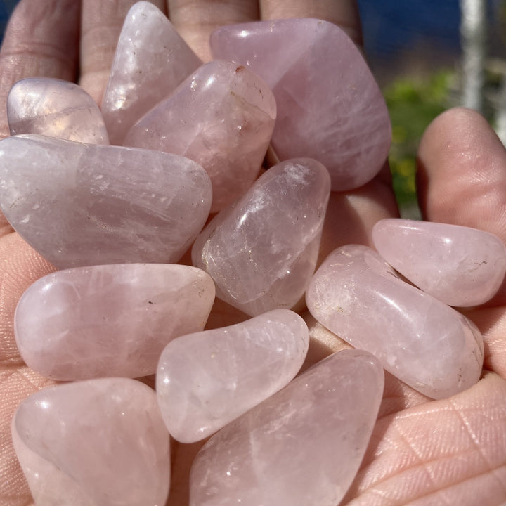 Rose Quartz Tumbled Healing Stones