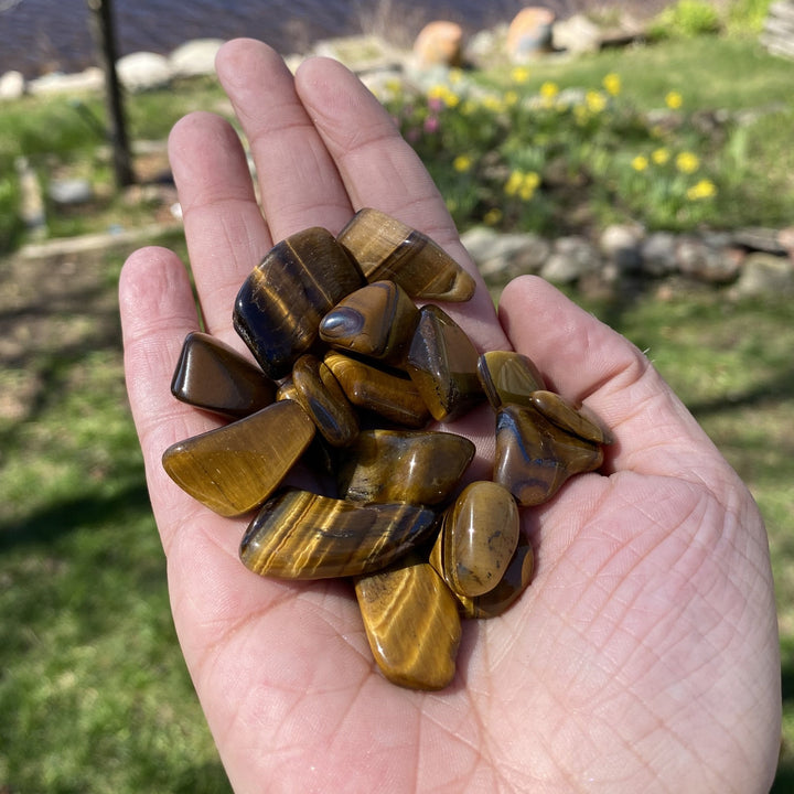 Tiger Eye Tumbled Healing Stones