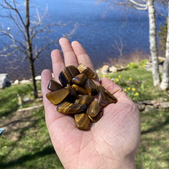 Tiger Eye Tumbled Healing Stones