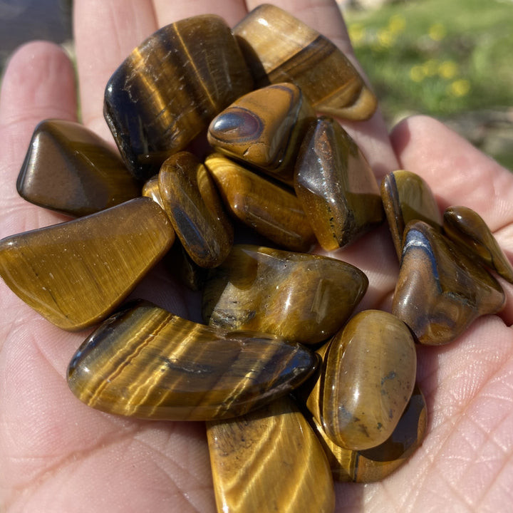 Tiger Eye Tumbled Healing Stones