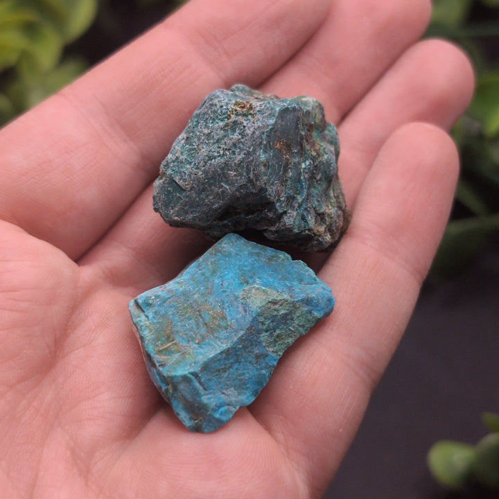 Rough Cut Chrysocolla (L)