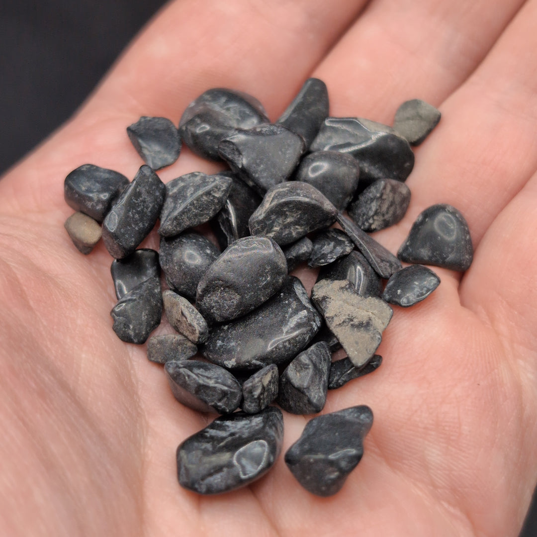 Black Tourmaline Chips (1oz)