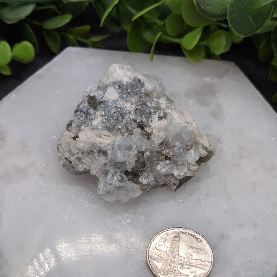 Apophyllite Zeolite Cluster(#10)