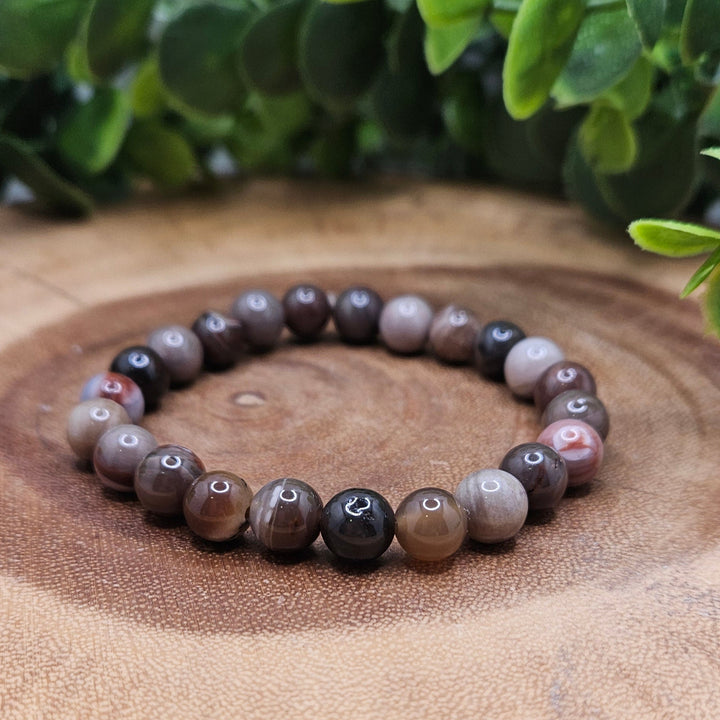 Petrified Wood 8mm Bracelet