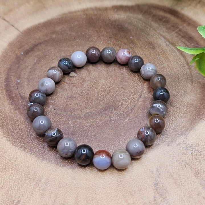 Petrified Wood 8mm Bracelet