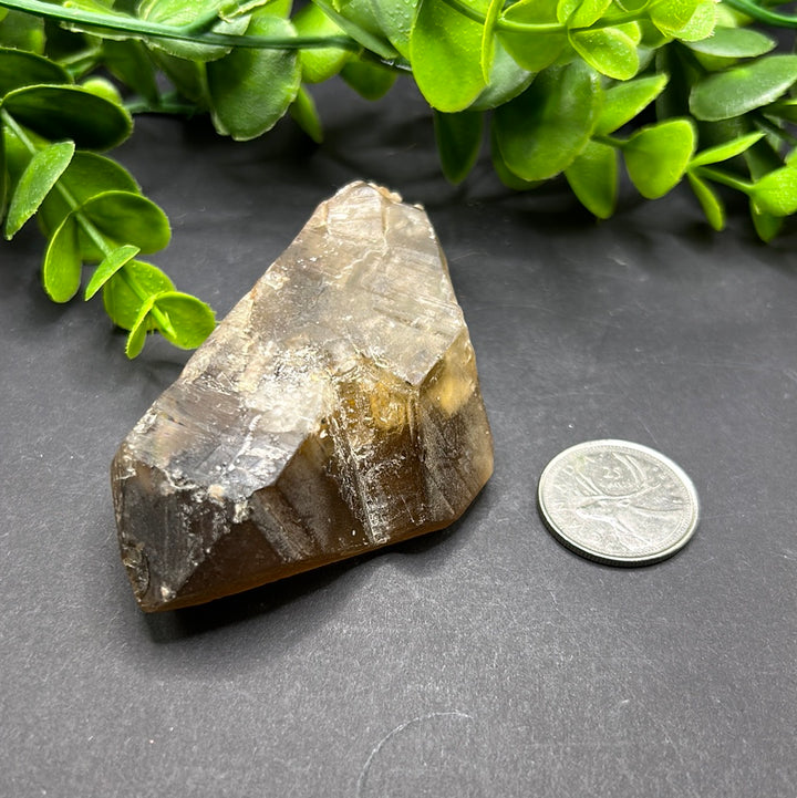 Natural Citrine Point (L)